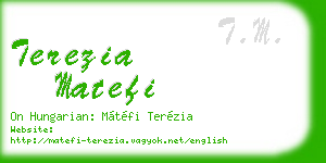 terezia matefi business card